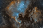 NGC7000