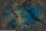 IC 1396 – La nébuleuse de la trompe d’éléphant