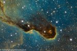 IC 1396 – La nébuleuse de la trompe d’éléphant