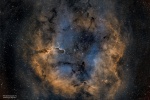 IC1396 ( Nébuleuse de la trompe de l'éléphant)