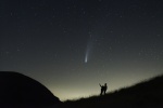 Neowise