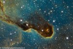 IC 1396 – La nébuleuse de la trompe d’éléphant